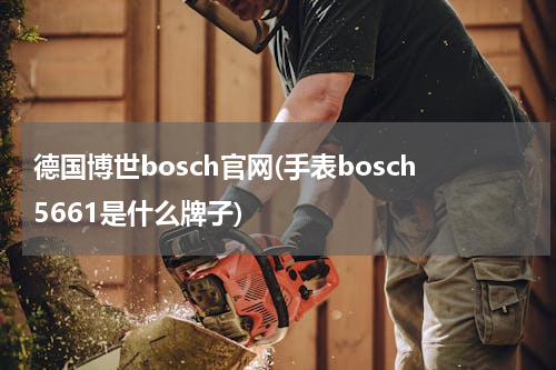 德国博世bosch官网(手表bosch5661是什么牌子)
