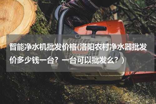 智能净水机批发价格(洛阳农村净水器批发价多少钱一台？一台可以批发么？)