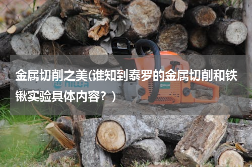 金属切削之美(谁知到泰罗的金属切削和铁锹实验具体内容？)