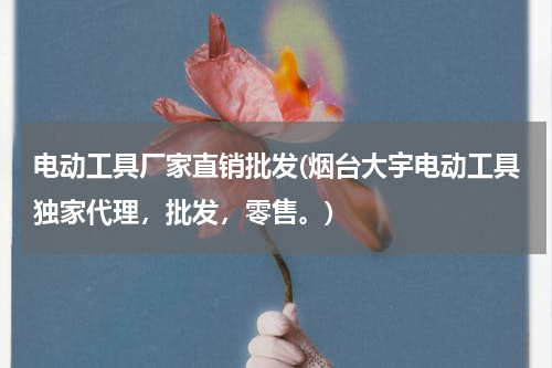 电动工具厂家直销批发(烟台大宇电动工具独家代理，批发，零售。)