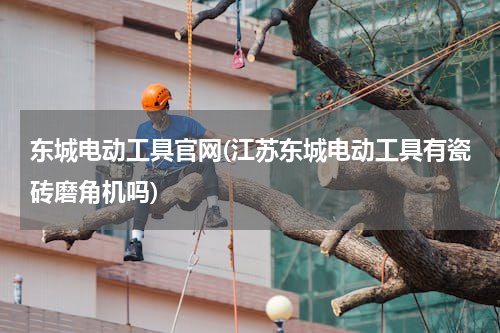 东城电动工具官网(江苏东城电动工具有瓷砖磨角机吗)