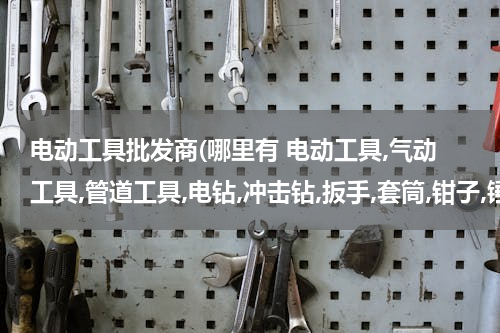 电动工具批发商(哪里有 电动工具,气动工具,管道工具,电钻,冲击钻,扳手,套筒,钳子,锤子等工具卖？)