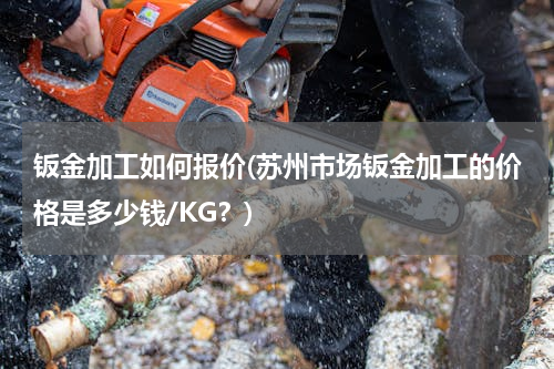 钣金加工如何报价(苏州市场钣金加工的价格是多少钱/KG？)