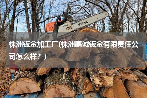 株洲钣金加工厂(株洲鹏诚钣金有限责任公司怎么样？)