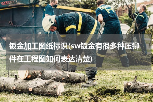 钣金加工图纸标识(sw钣金有很多种压铆件在工程图如何表达清楚)