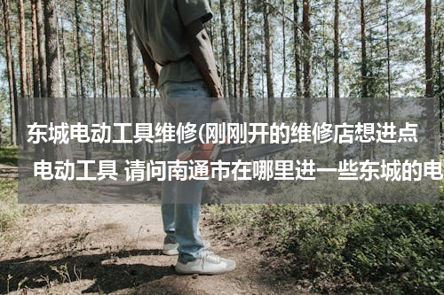 东城电动工具维修(刚刚开的维修店想进点 电动工具 请问南通市在哪里进一些东城的电动工具？？？？)