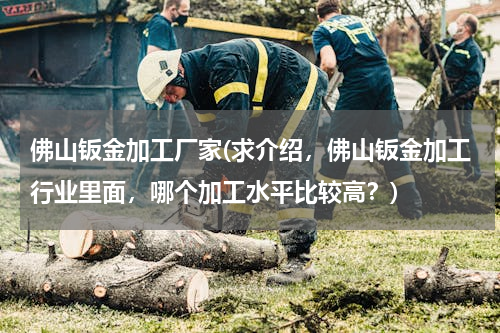 佛山钣金加工厂家(求介绍，佛山钣金加工行业里面，哪个加工水平比较高？)