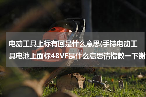 电动工具上标有回是什么意思(手持电动工具电池上面标48VF是什么意思请指教一下谢谢了?)