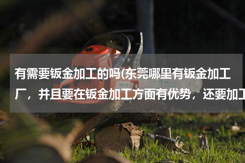 有需要钣金加工的吗(东莞哪里有钣金加工厂，并且要在钣金加工方面有优势，还要加工的好。)