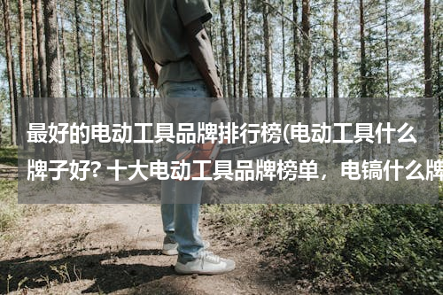 最好的电动工具品牌排行榜(电动工具什么牌子好? 十大电动工具品牌榜单，电镐什么牌子好)