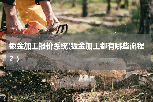 钣金加工报价系统(钣金加工都有哪些流程？)