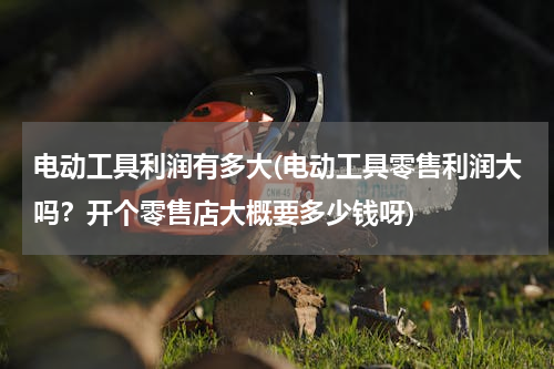电动工具利润有多大(电动工具零售利润大吗？开个零售店大概要多少钱呀)