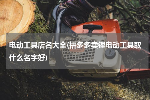 电动工具店名大全(拼多多卖锂电动工具取什么名字好)