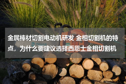 金属棒材切割电动机研发 金相切割机的特点，为什么要建议选择西恩士金相切割机