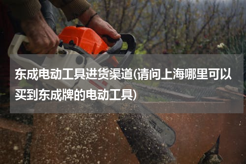 东成电动工具进货渠道(请问上海哪里可以买到东成牌的电动工具)