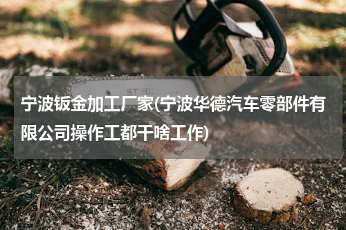 宁波钣金加工厂家(宁波华德汽车零部件有限公司操作工都干啥工作)