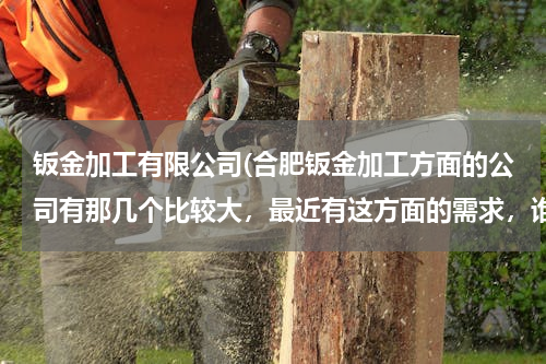 钣金加工有限公司(合肥钣金加工方面的公司有那几个比较大，最近有这方面的需求，谁能给点建议？)