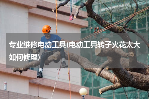 专业维修电动工具(电动工具转子火花太大如何修理)