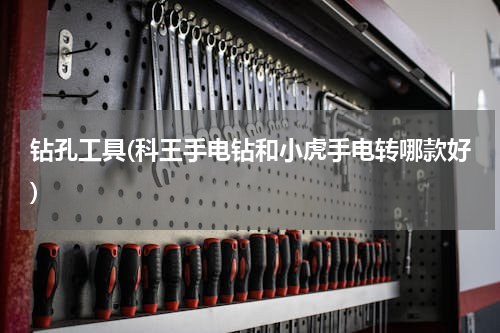 钻孔工具(科王手电钻和小虎手电转哪款好)