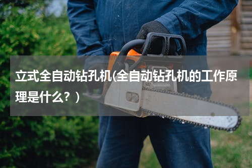 立式全自动钻孔机(全自动钻孔机的工作原理是什么？)