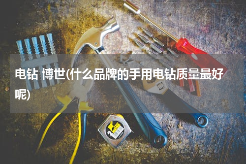 电钻 博世(什么品牌的手用电钻质量最好呢)