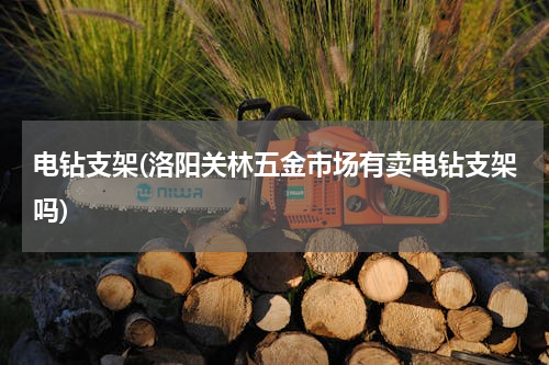 电钻支架(洛阳关林五金市场有卖电钻支架吗)