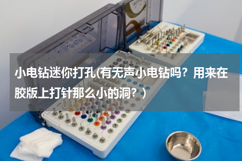 小电钻迷你打孔(有无声小电钻吗？用来在胶版上打针那么小的洞？)