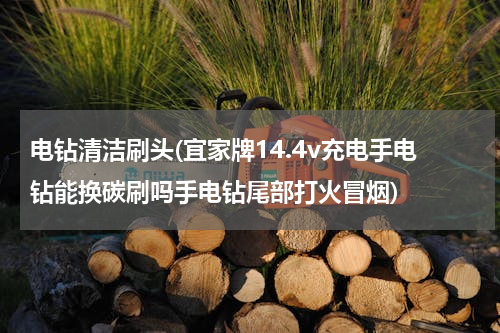 电钻清洁刷头(宜家牌14.4v充电手电钻能换碳刷吗手电钻尾部打火冒烟)