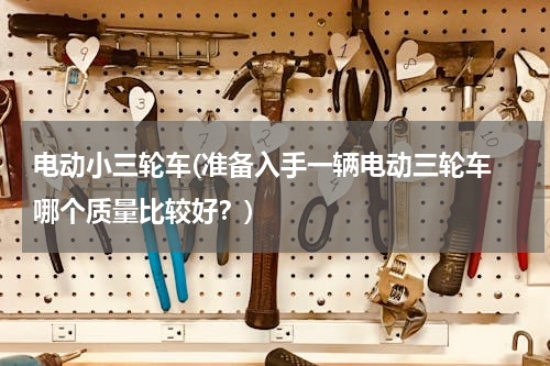 电动小三轮车(准备入手一辆电动三轮车 哪个质量比较好？)