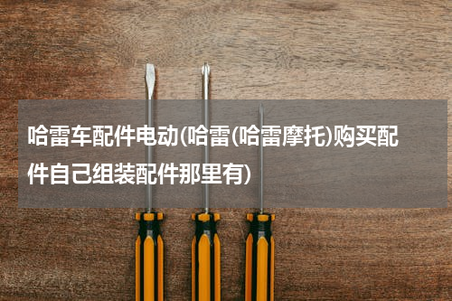 哈雷车配件电动(哈雷(哈雷摩托)购买配件自己组装配件那里有)
