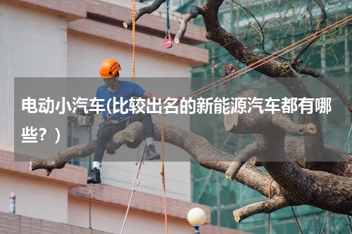 电动小汽车(比较出名的新能源汽车都有哪些？)