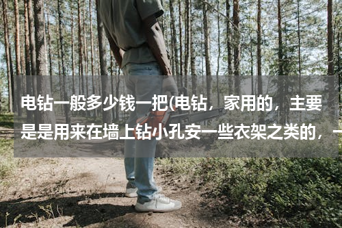 电钻一般多少钱一把(电钻，家用的，主要是是用来在墙上钻小孔安一些衣架之类的，一般买多少钱的？)
