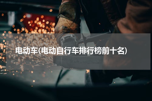 电动车(电动自行车排行榜前十名)