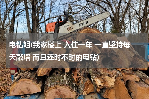 电钻姐(我家楼上 入住一年 一直坚持每天敲墙 而且还时不时的电钻)