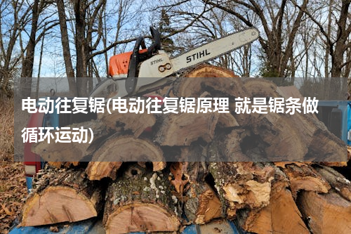 电动往复锯(电动往复锯原理 就是锯条做循环运动)