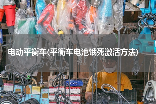 电动平衡车(平衡车电池饿死激活方法)