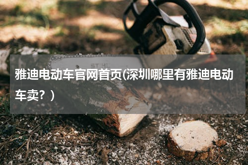雅迪电动车官网首页(深圳哪里有雅迪电动车卖？)