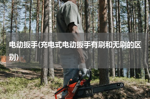 电动扳手(充电式电动扳手有刷和无刷的区别)