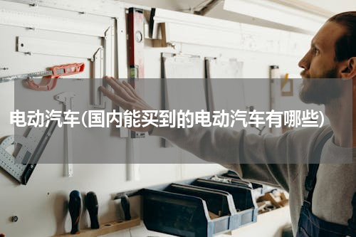 电动汽车(国内能买到的电动汽车有哪些)
