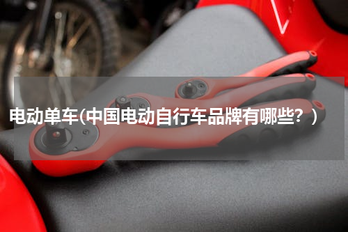 电动单车(中国电动自行车品牌有哪些？)