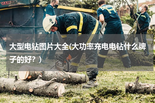 大型电钻图片大全(大功率充电电钻什么牌子的好？)