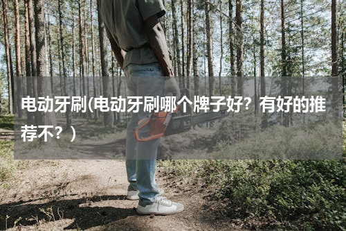 电动牙刷(电动牙刷哪个牌子好？有好的推荐不？)