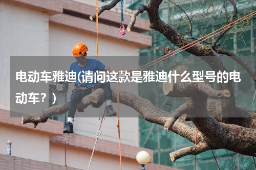 电动车雅迪(请问这款是雅迪什么型号的电动车？)
