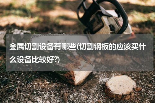 金属切割设备有哪些(切割钢板的应该买什么设备比较好?)