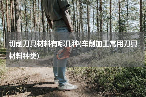 切削刀具材料有哪几种(车削加工常用刀具材料种类)