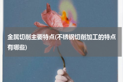 金属切削主要特点(不锈钢切削加工的特点有哪些)