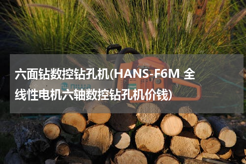 六面钻数控钻孔机(HANS-F6M 全线性电机六轴数控钻孔机价钱)