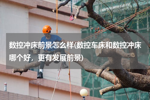 数控冲床前景怎么样(数控车床和数控冲床哪个好，更有发展前景)