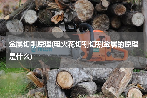 金属切削原理(电火花切割切割金属的原理是什么)