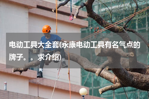 电动工具大全套(永康电动工具有名气点的牌子。。求介绍)